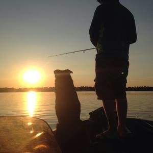 Meet your Posher, Don